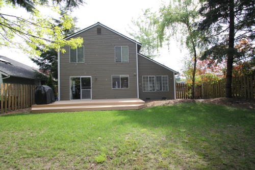 Lower level fireplace